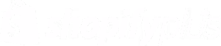 Shopify Plus partner
