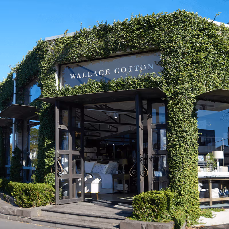 Wallace Cotton brand imagery