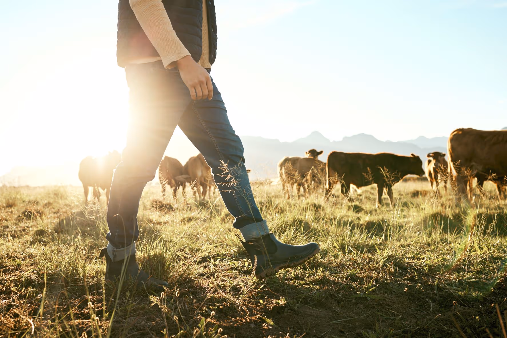 Farmlands brand imagery