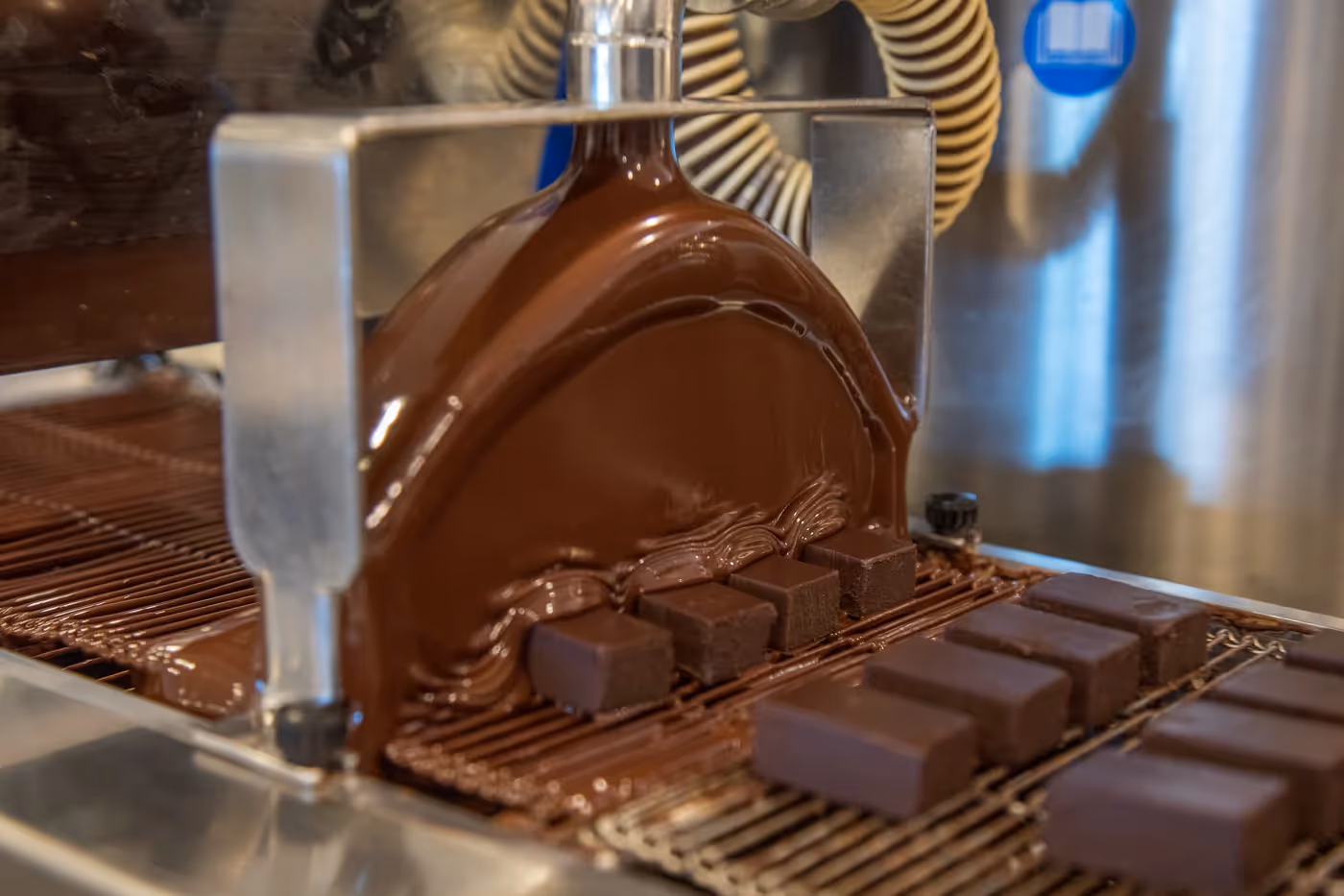 Patagonia Chocolates: Replatform
