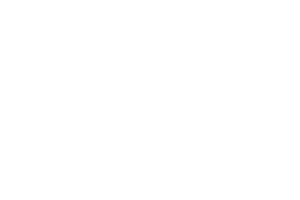 Bondi Sands logo