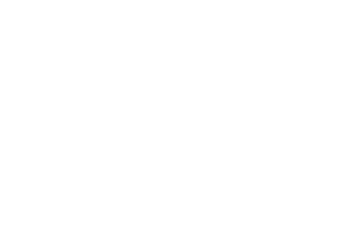 P.E Nation logo