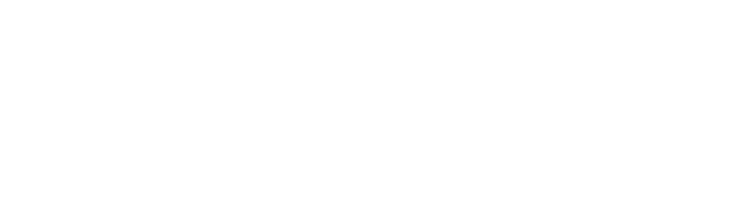 The Sleep Store logo