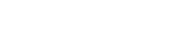 birdsnest logo