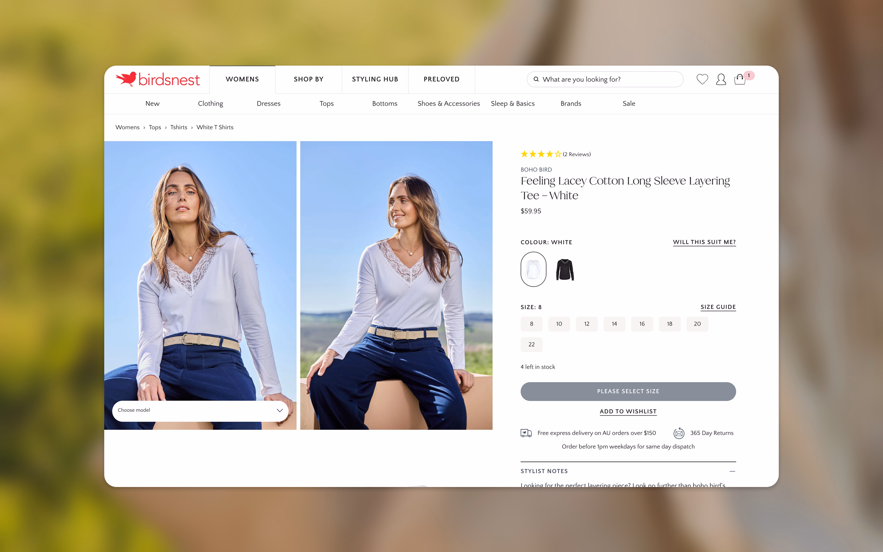 birdsnest website on desktop